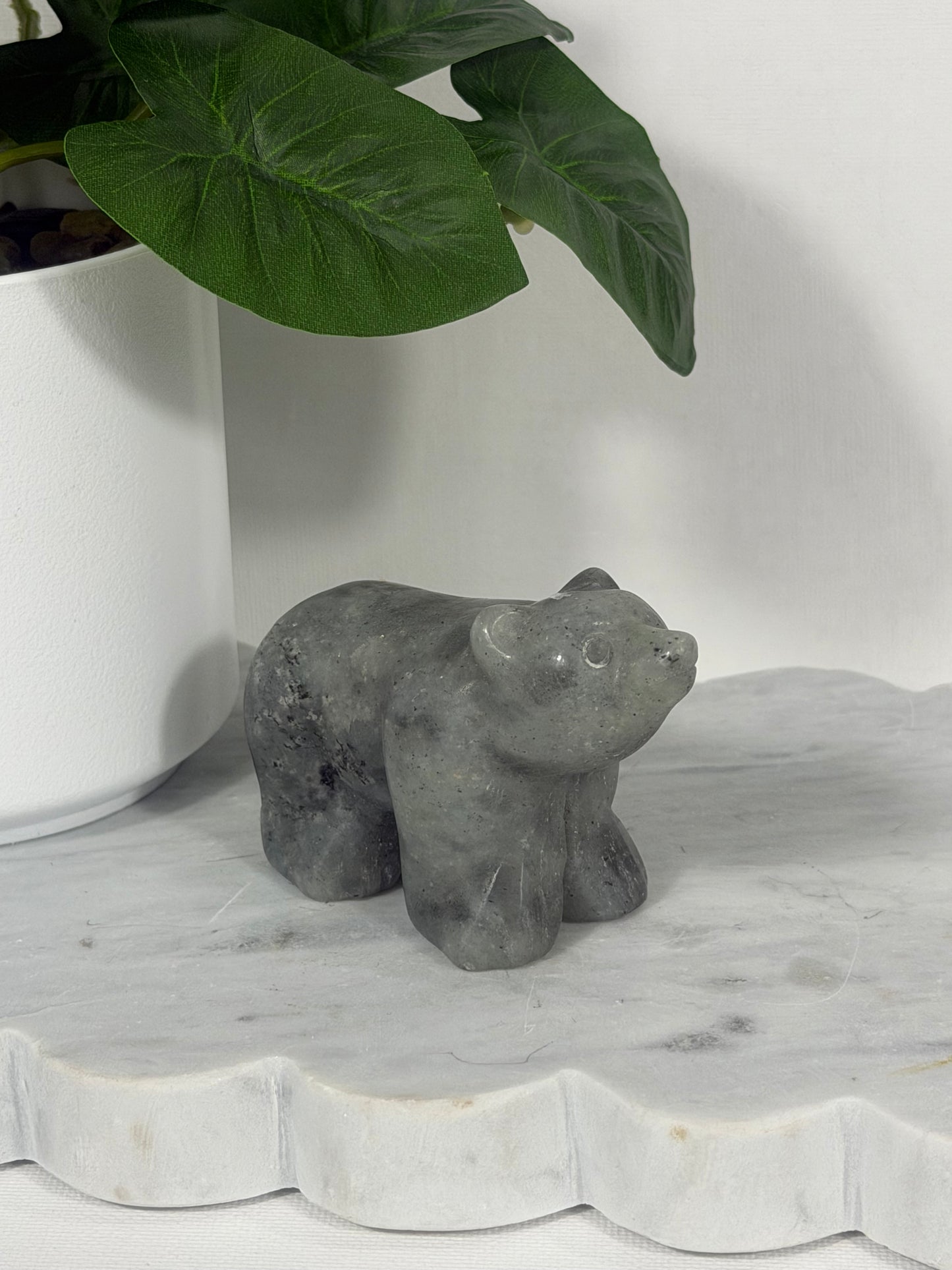 Bears