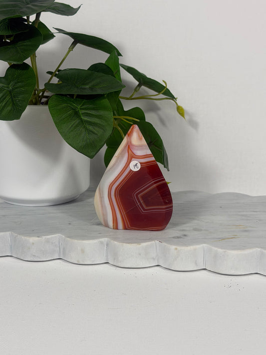 Red Agate Freeform