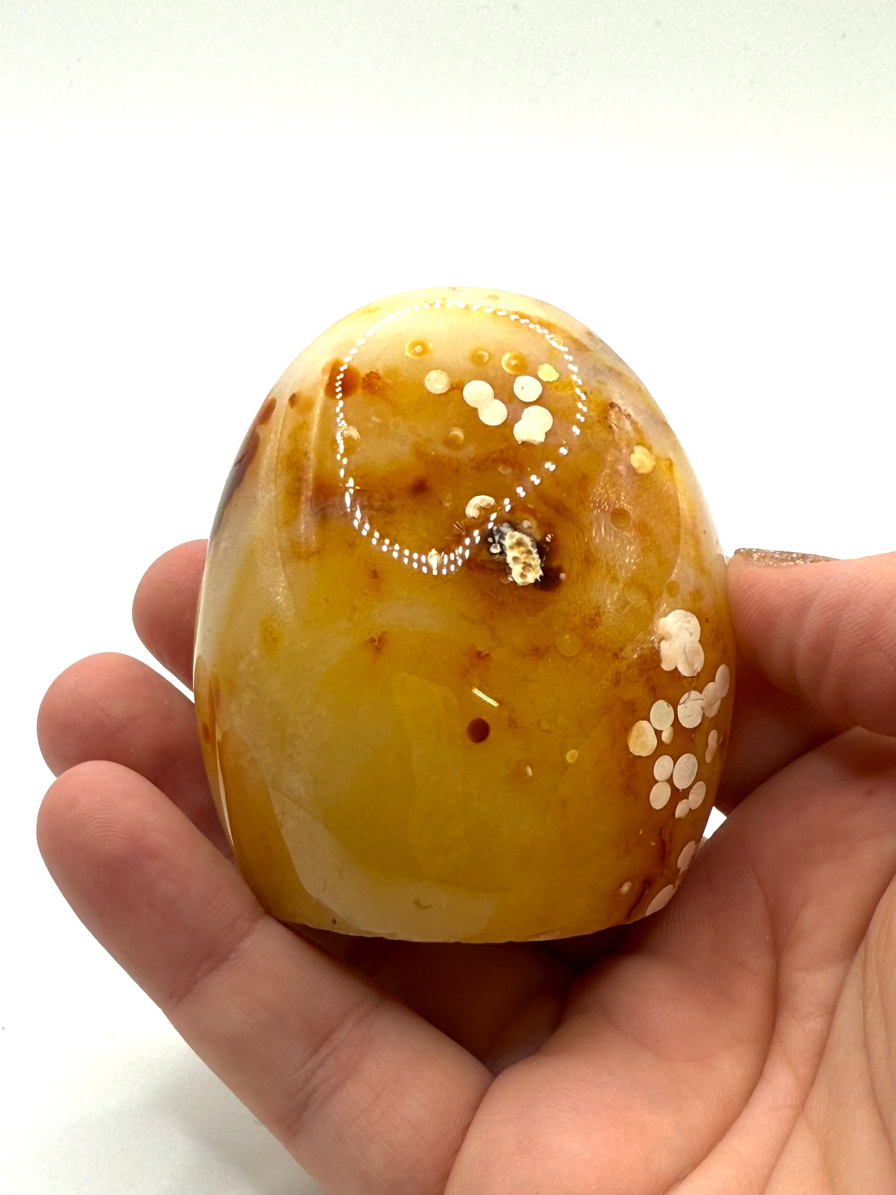 Carnelian Free Form - 26B