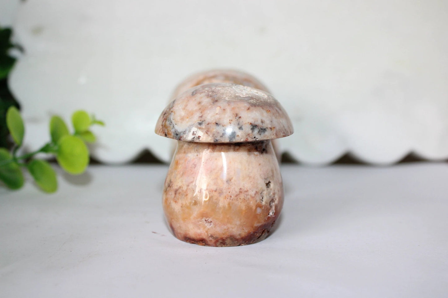 Crazy Lace Mushroom by Heartstone Sanctuary
