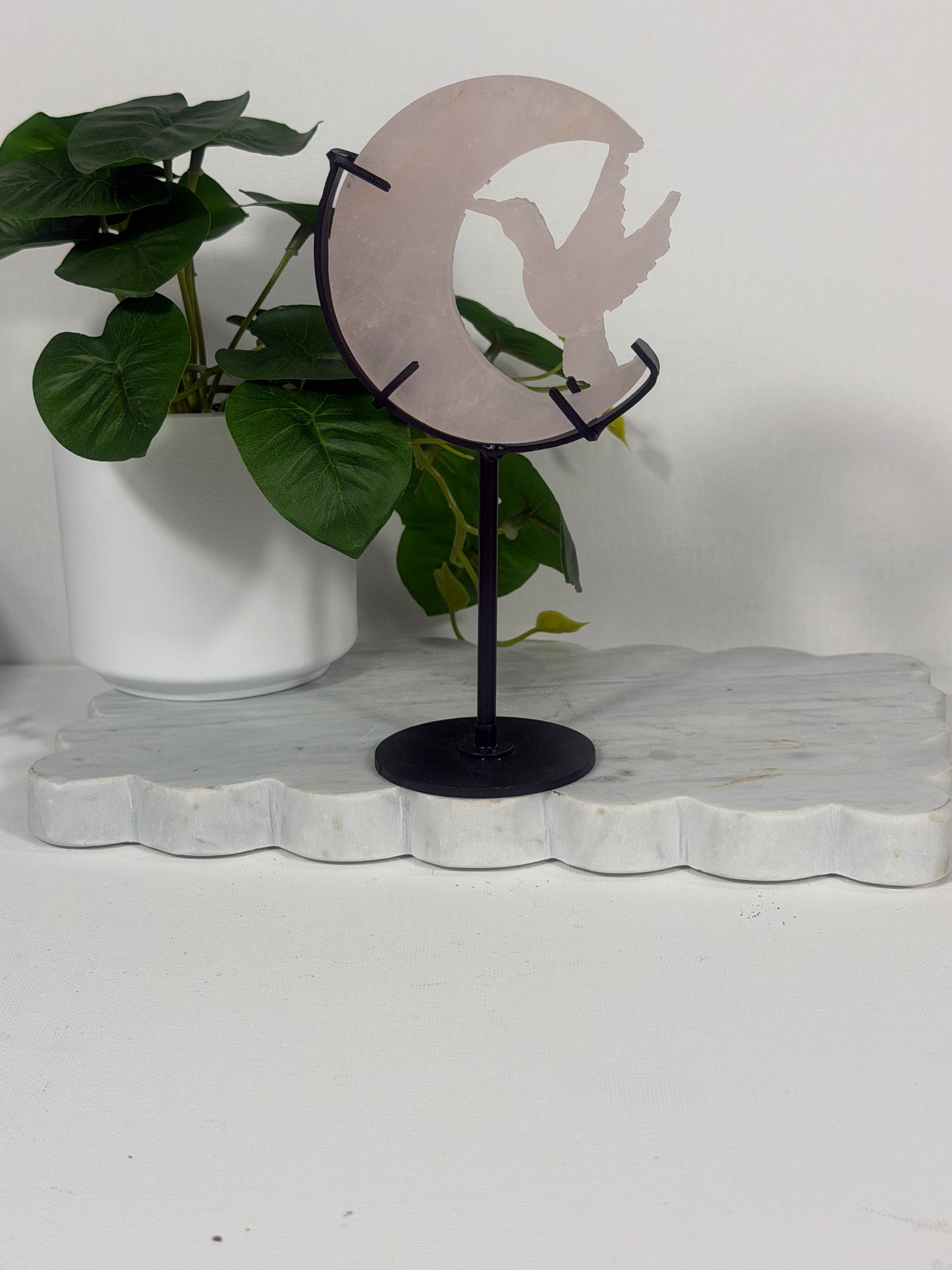 Hummingbird on Stand