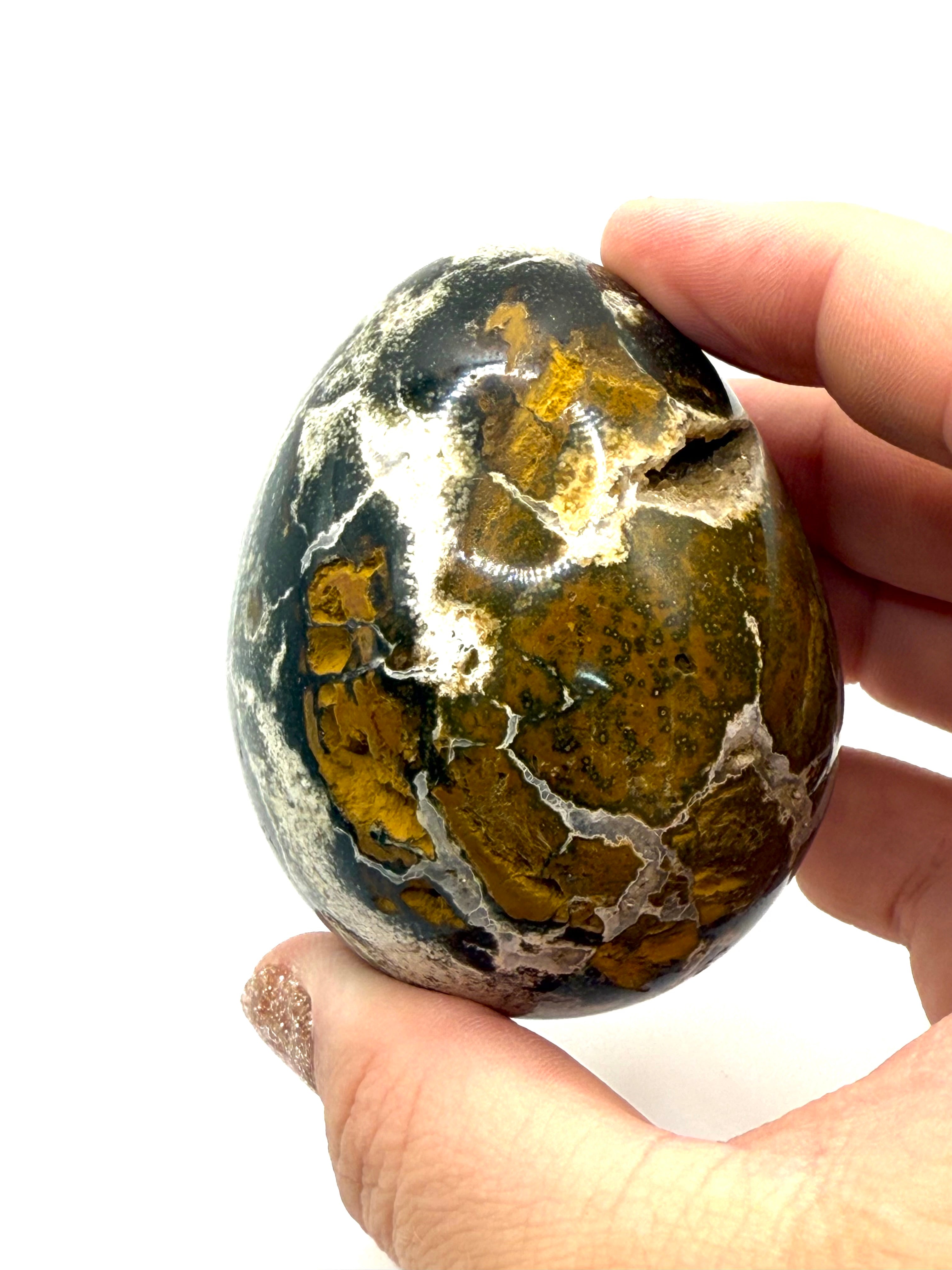 Ocean Jasper Egg - 36A