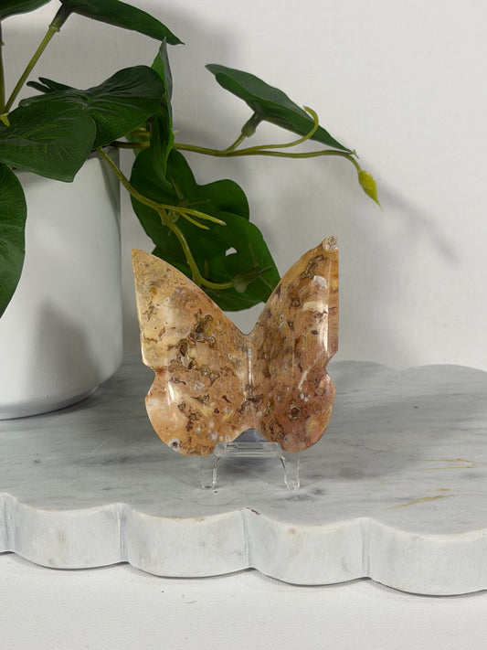 Crazy Lace Butterfly