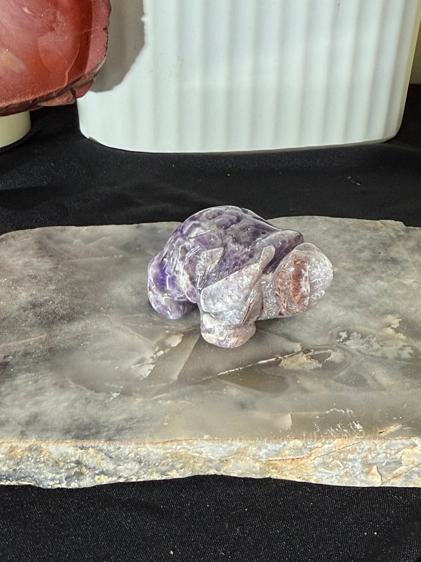 Tortoise Multiple Materials by Heartstone Sanctuary