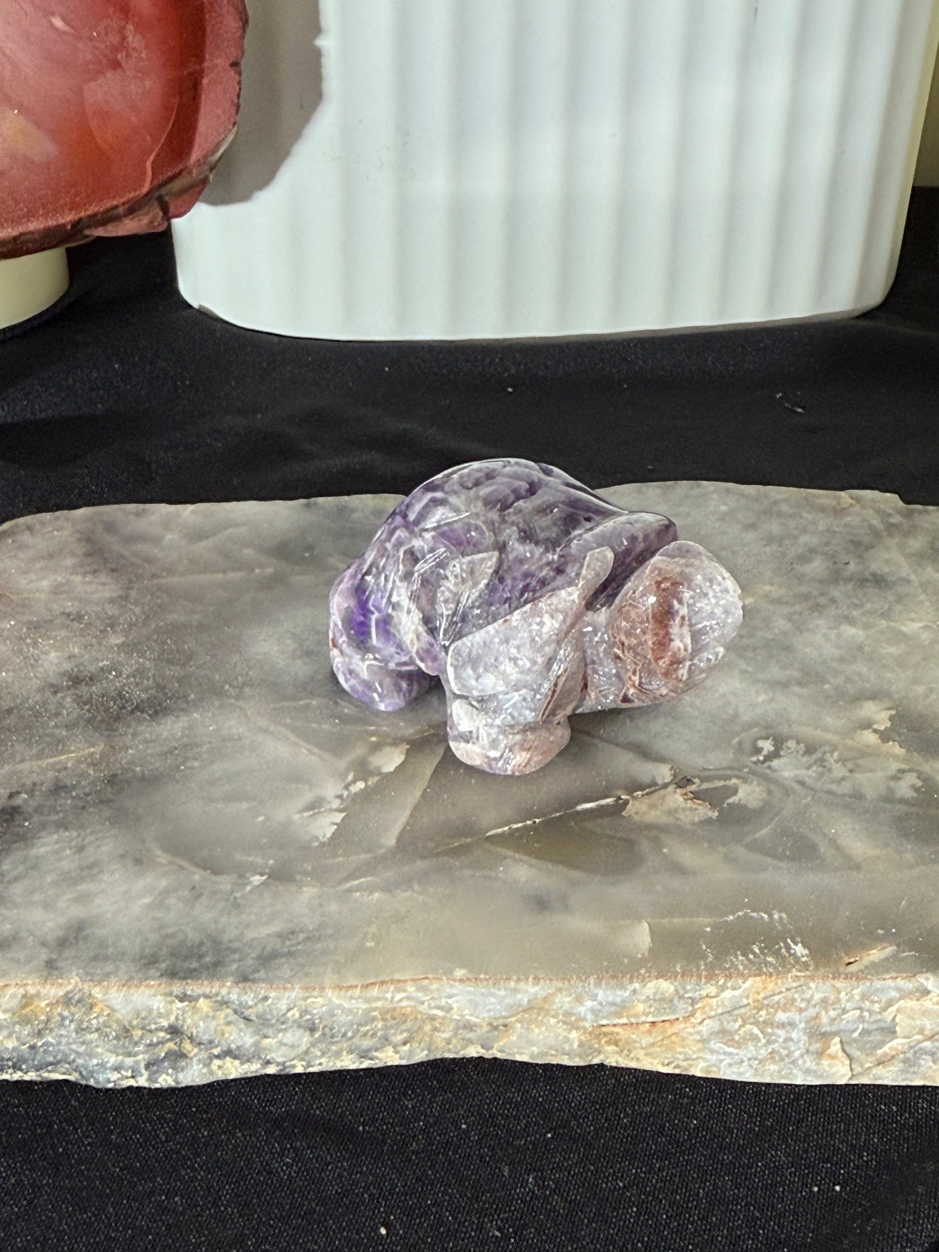 Tortoise Multiple Materials