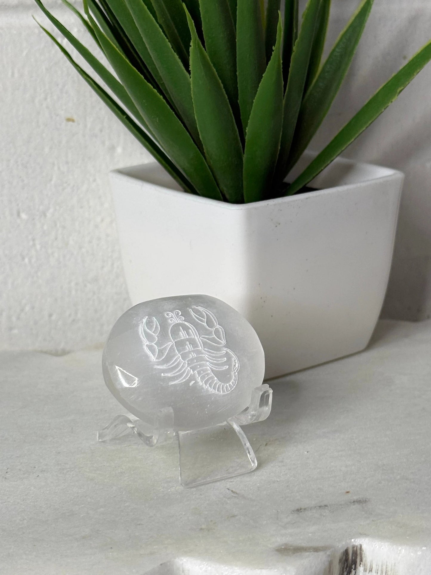 Zodiac Etched Selenite Small Palm by Heartstone Sanctuary