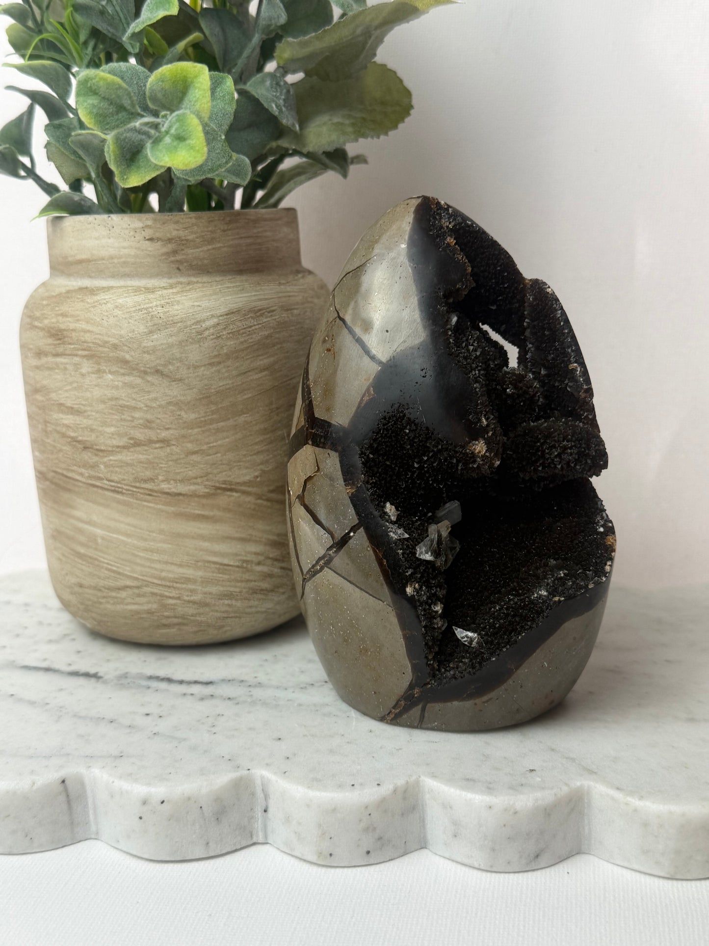 Septarian Cutbase