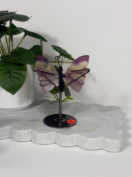 Fluorite Wings