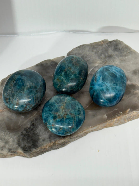 Blue Apatite Palm by Heartstone Sanctuary