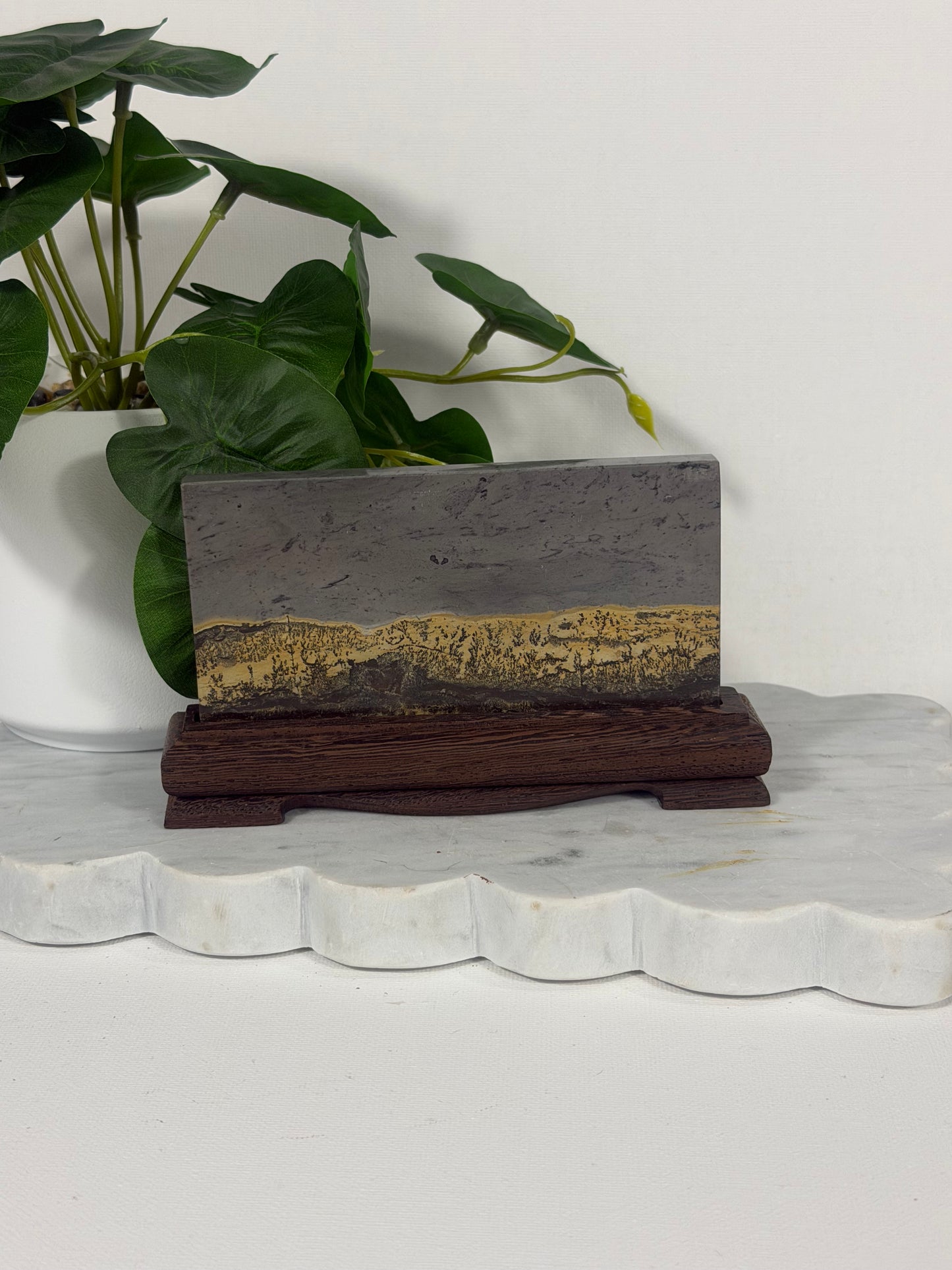 Picture Jasper Slab