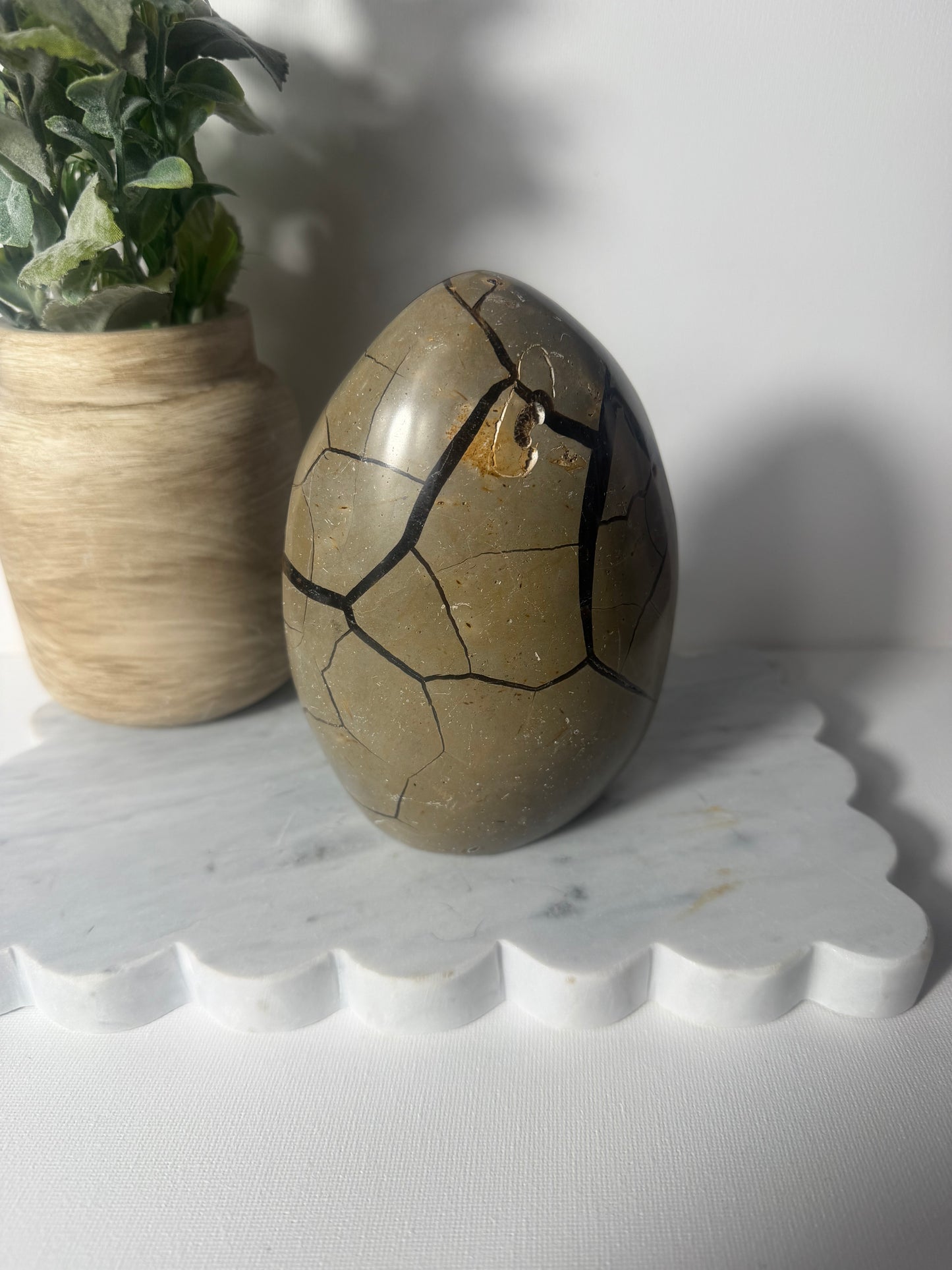 Septarian Free Form