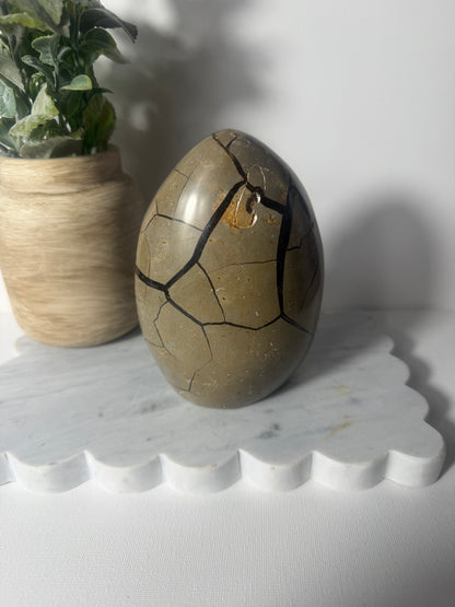 Septarian Free Form
