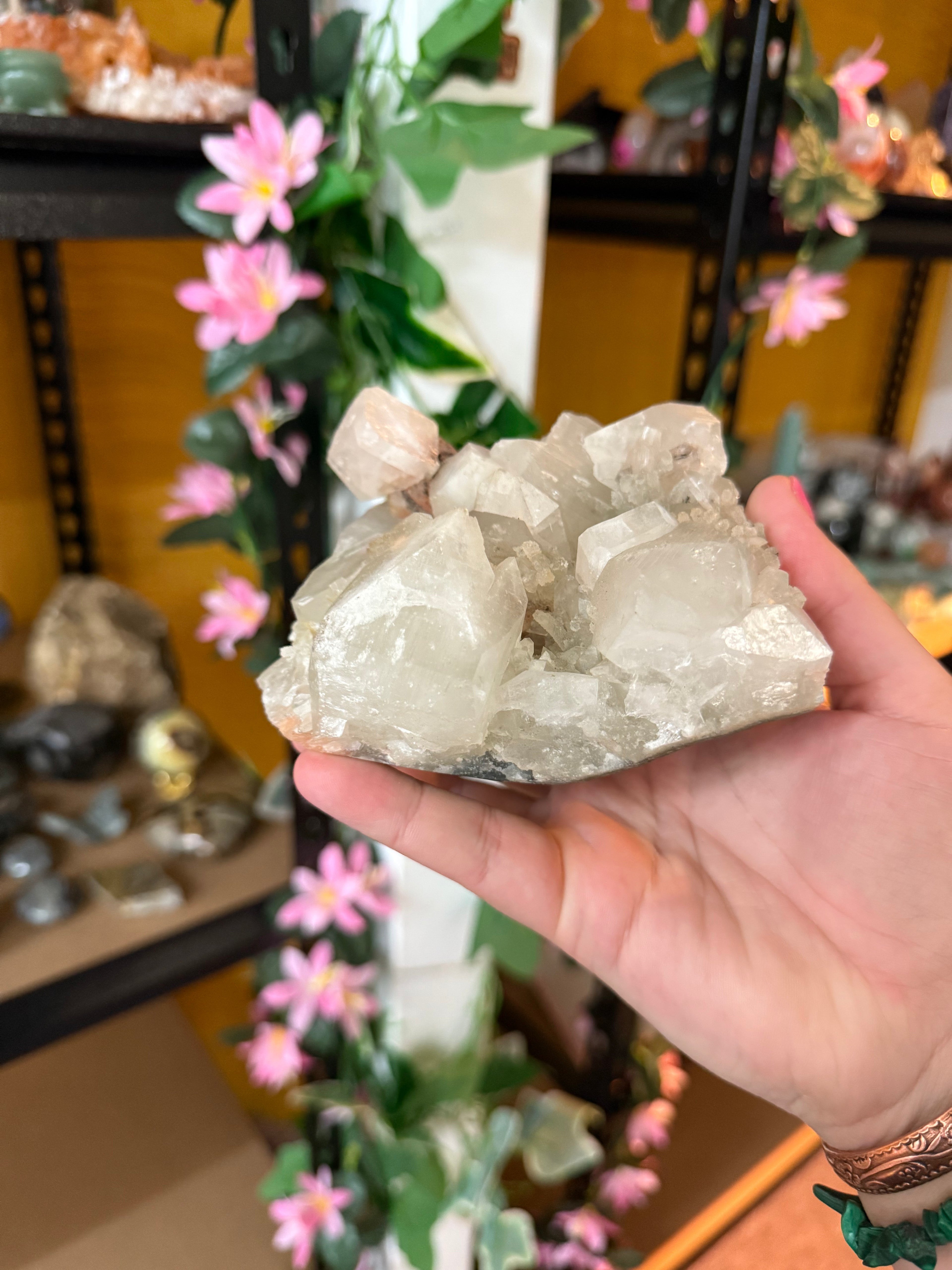 Apophyllite XXL
