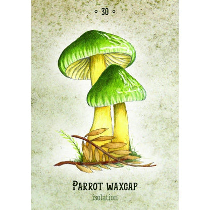 Mushroom Spirit Oracle Cards by WONDER IMPORTS AUSTRALIA