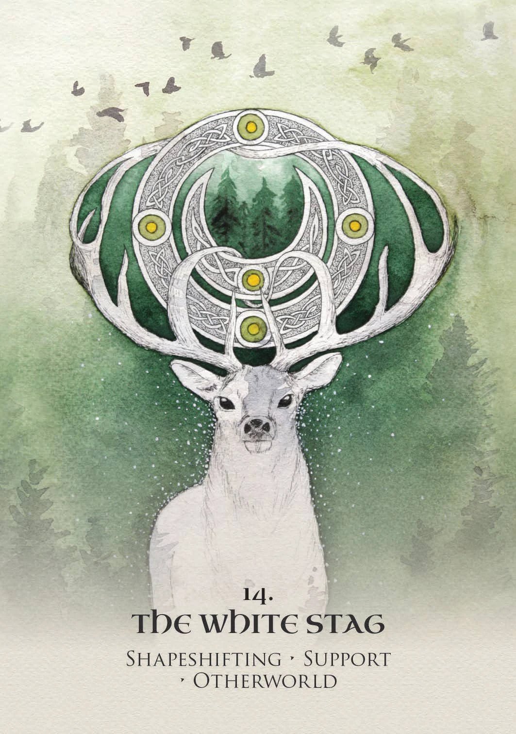 Celtic Spirit Oracle by ROCKPOOL PUBLISHING