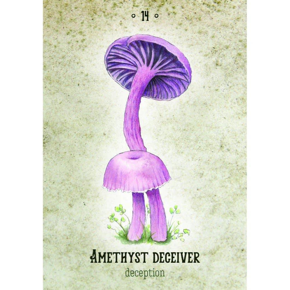 Mushroom Spirit Oracle Cards by WONDER IMPORTS AUSTRALIA