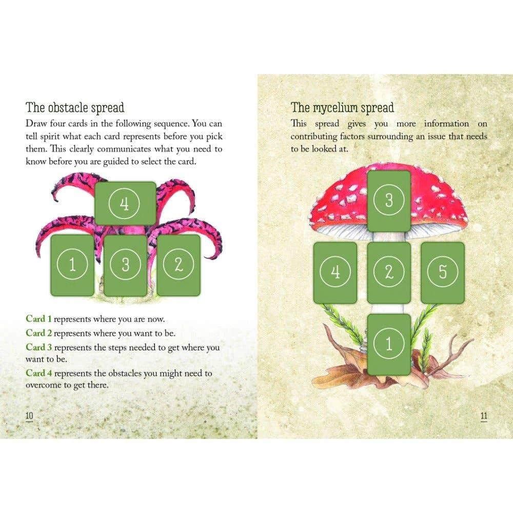 Mushroom Spirit Oracle Cards by WONDER IMPORTS AUSTRALIA