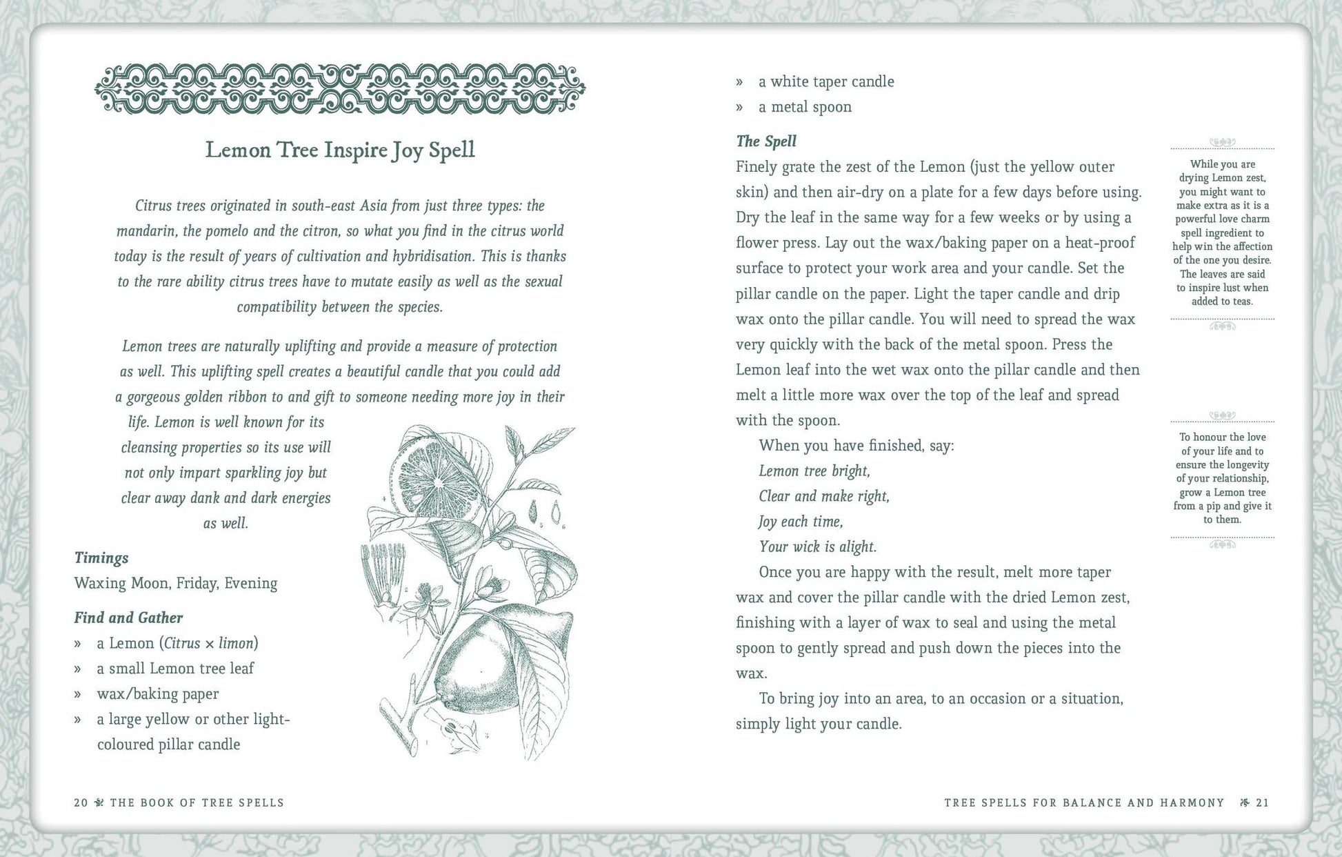 Book of Tree Spells by ROCKPOOL PUBLISHING