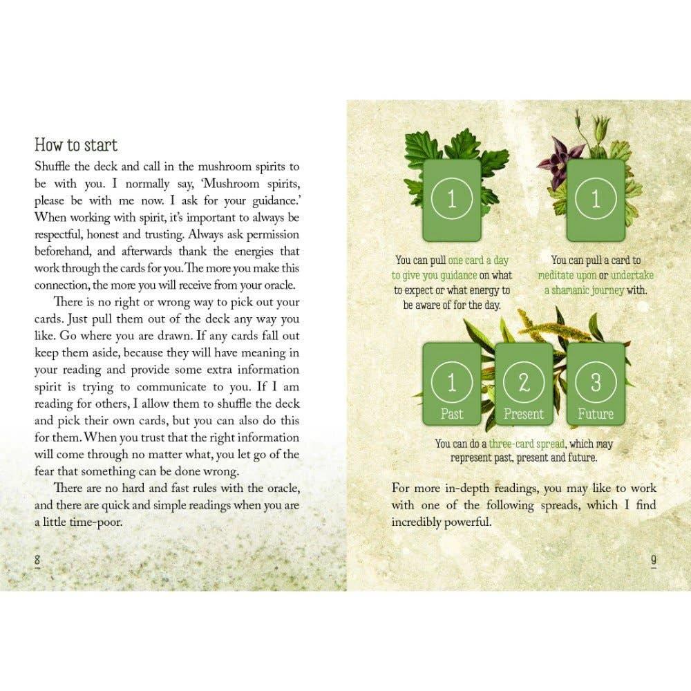 Mushroom Spirit Oracle Cards by WONDER IMPORTS AUSTRALIA