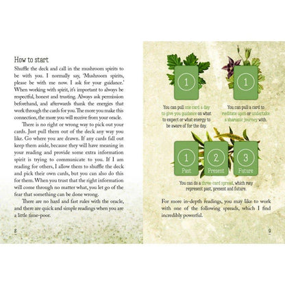 Mushroom Spirit Oracle Cards by WONDER IMPORTS AUSTRALIA