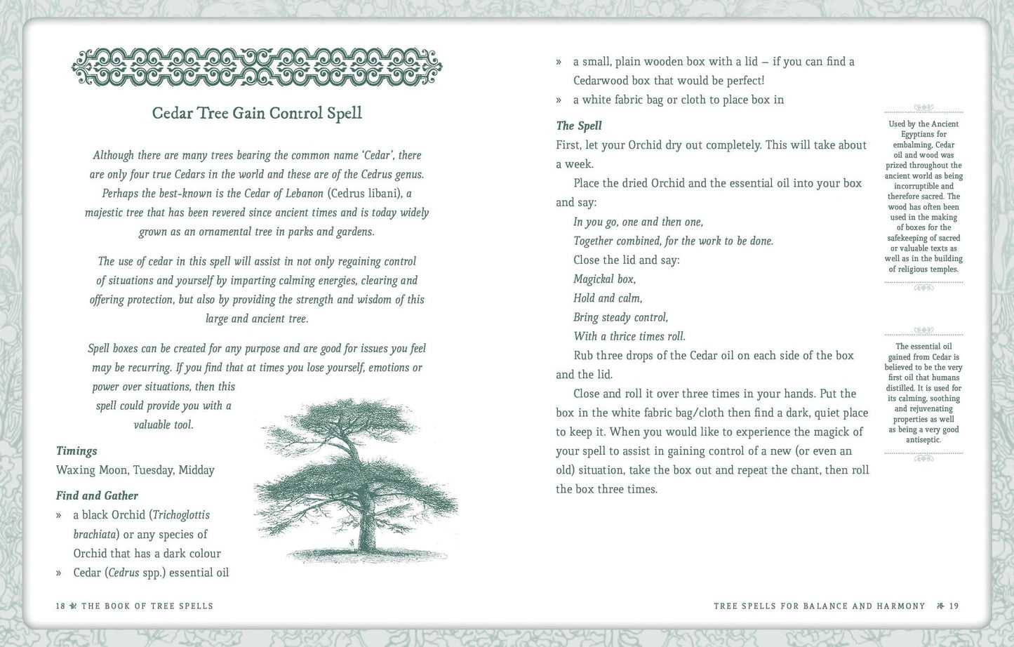 Book of Tree Spells by ROCKPOOL PUBLISHING