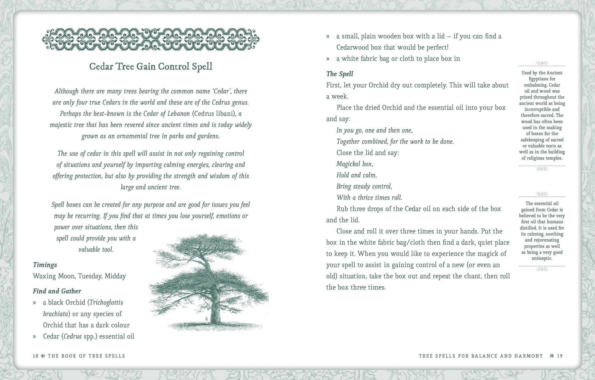 Book of Tree Spells by ROCKPOOL PUBLISHING