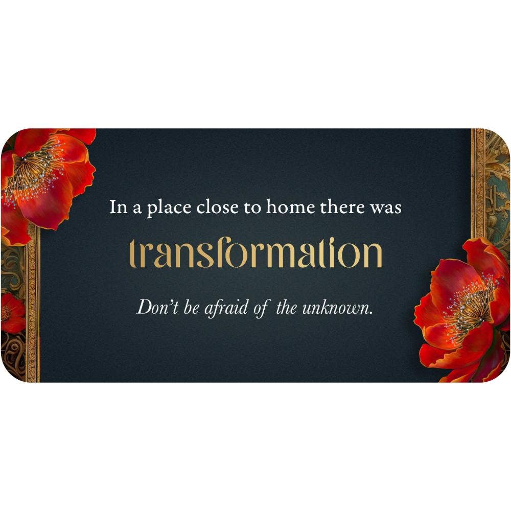 Close to Home Inspiration Cards (RRP $16.99) by WONDER IMPORTS AUSTRALIA
