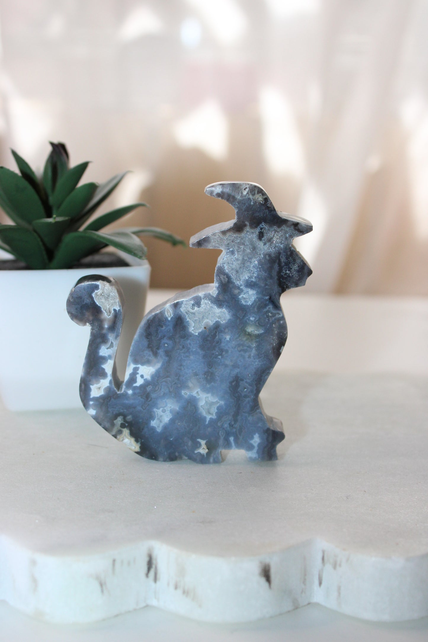 Blue Plume Agate Cat C