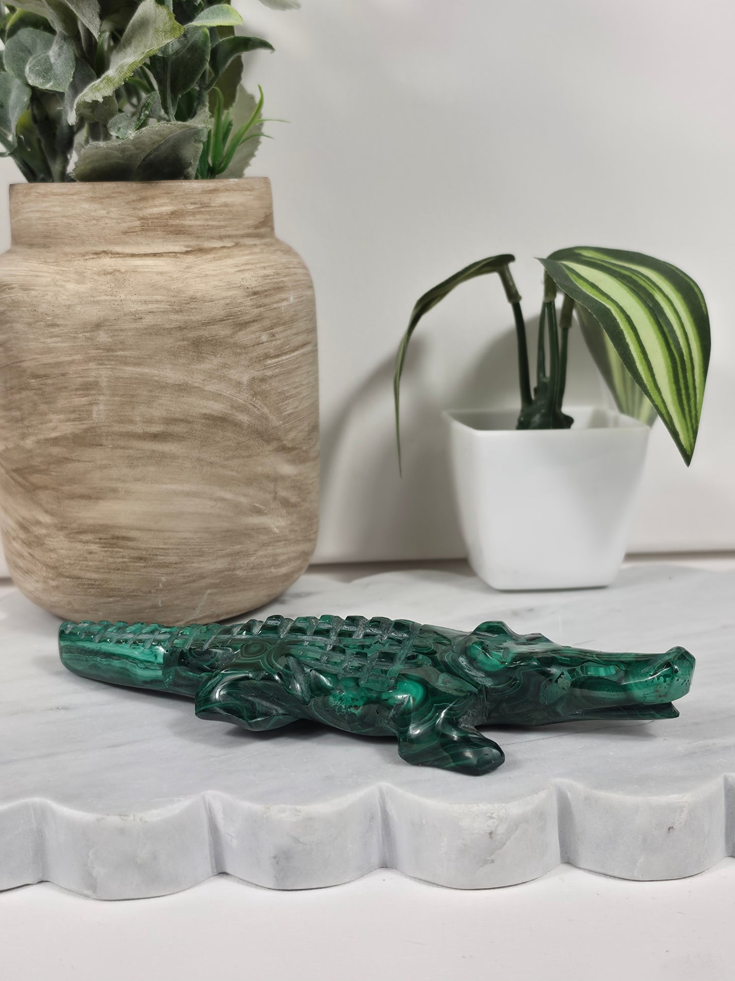 Malachite Alligator - imperfect