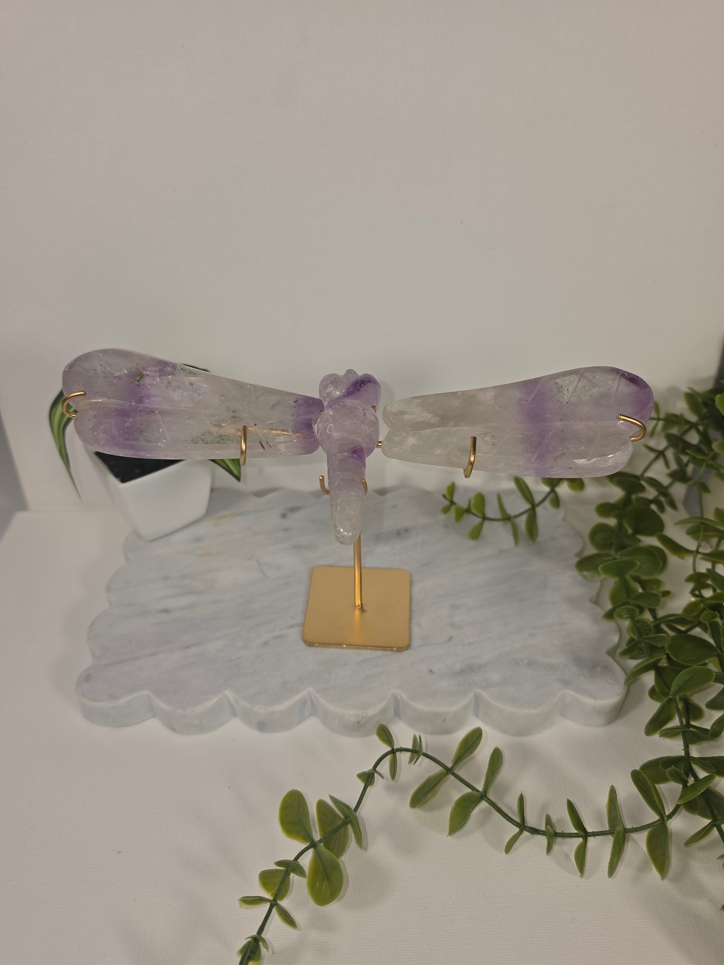 Phantom Amethyst dragonfly