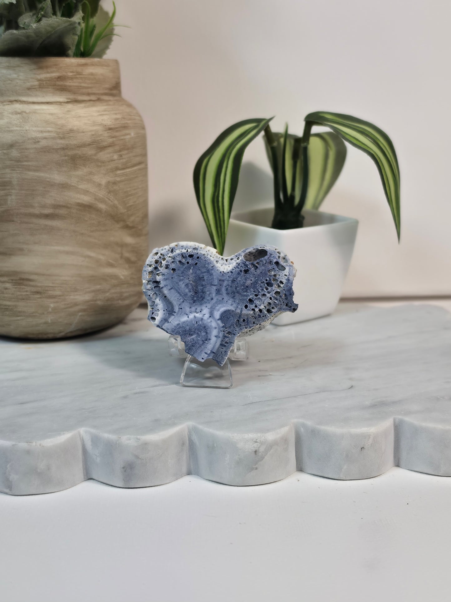 Blue Coral Fossil - 11A