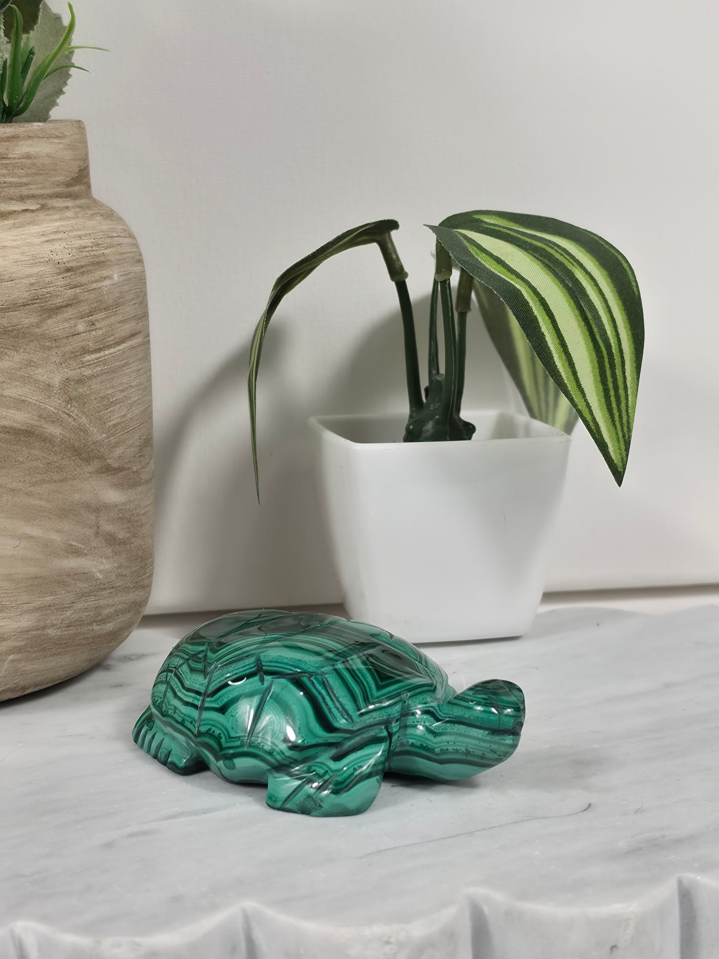 Malachite Turtle