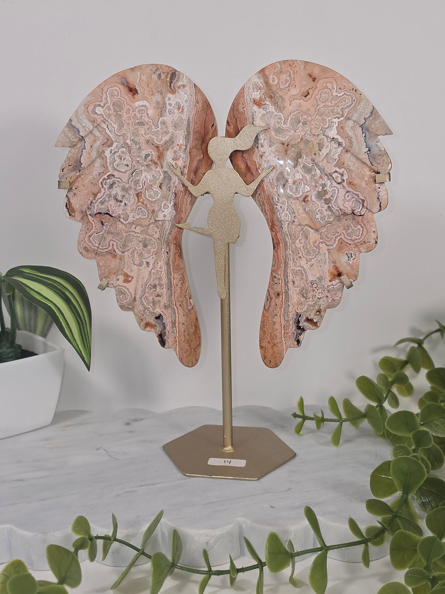 Pink Crazy Lace Angel
