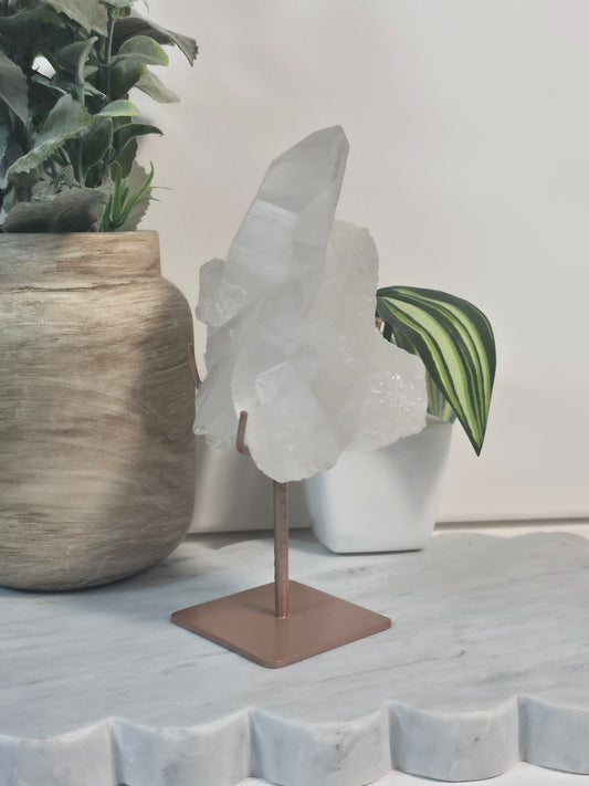 Diamantina Lemurian on Stand 150A