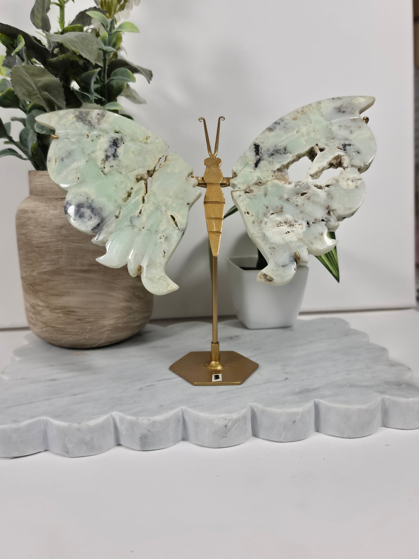 Chrysophrase Indonesian Wings 50B